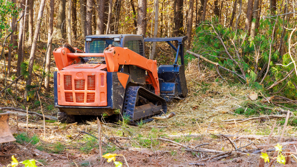Contractor used tracked general purpose vehicles forestry mulcher that cleans soil in a forest